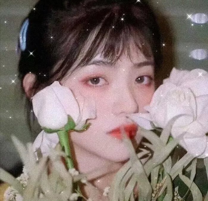 关于阿斯特丽德